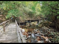 -东天目山风景区