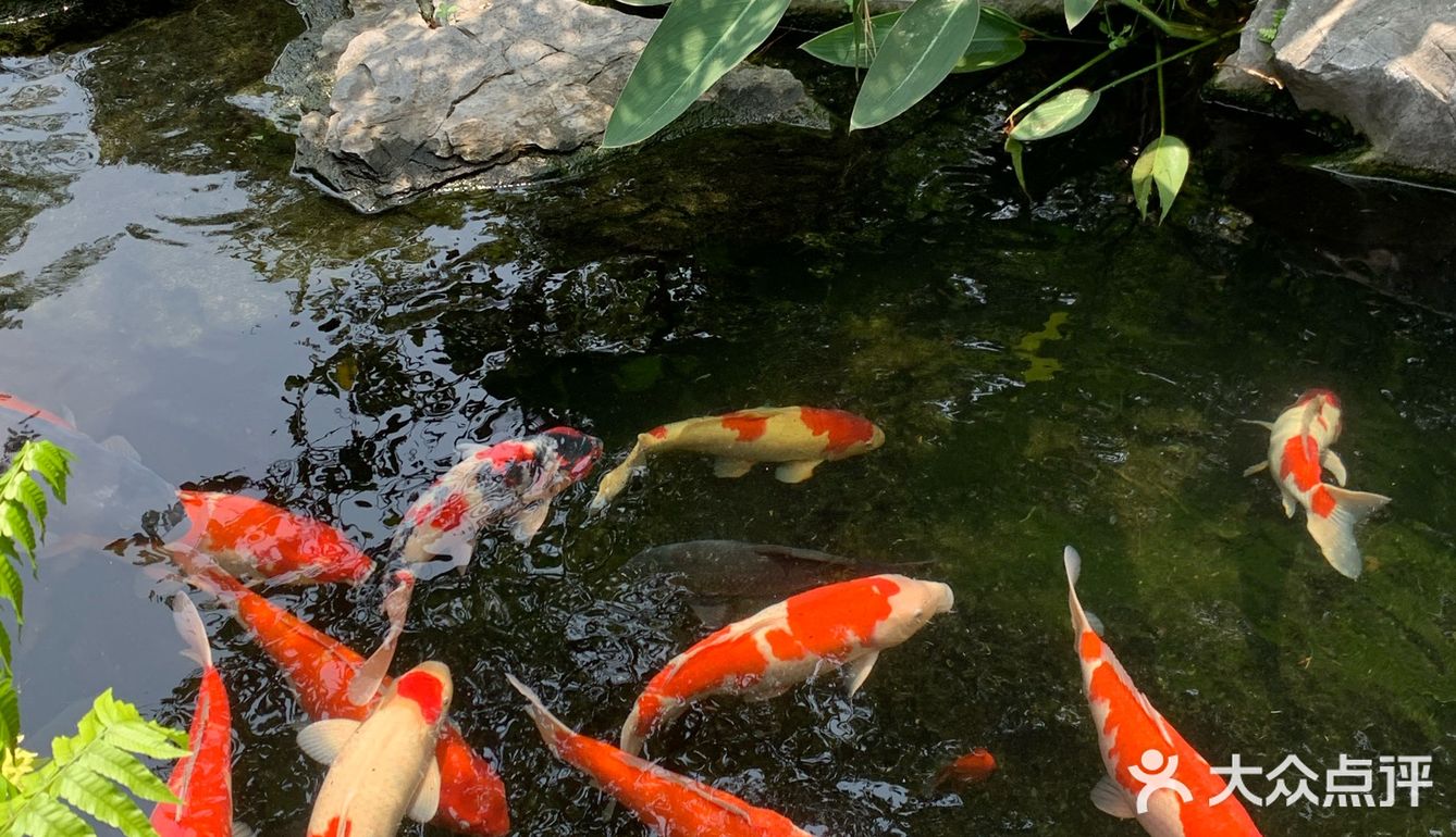 🏡佛山集然院子 | 藏在闹市里的新中式园林