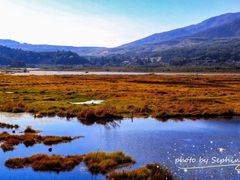 -腾冲北海湿地