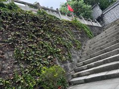 -燊海井
