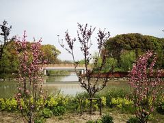 -柳鹭田园区