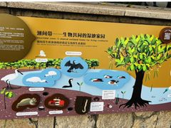 -深圳湾公园(南山区)