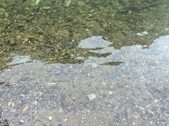 -阿依河景区