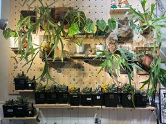 -Rabbit Cafe私房西餐甜点咖啡(栖霞路店)