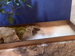 -双湖宴·湖北菜(文化路店)