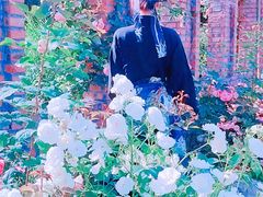 -都江堰玫瑰花溪谷