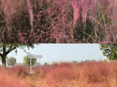 -汉长安城未央宫国家考古遗址公园