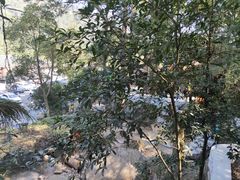 -南岳衡山风景名胜区-南岳大庙