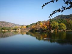 -白马涧龙池景区