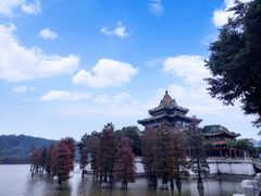 -顺峰山公园