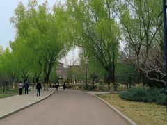 -莲花池公园