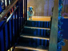 -M-3 PUB(创智天地店)
