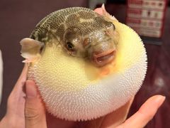 -永安鱼庄·镇江菜(东吴路店)