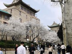 -武汉大学-樱园