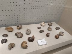-辽宁古生物博物馆