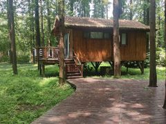 -黄海国家森林公园