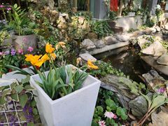 -谷咖啡·鲜花绿植花园餐厅