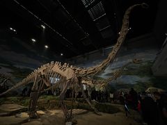 -自贡恐龙博物馆