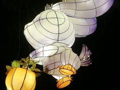 -文华公园(禅城区)
