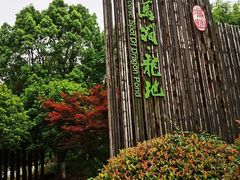 -白马涧龙池景区