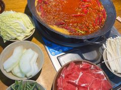 -阳阳老火锅(小南门店)