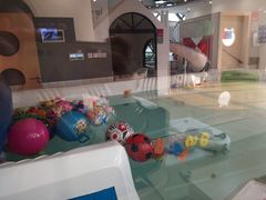 -长天小红星智慧托育(朝阳园店)