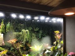 -森味薪火烧•烧鸟居酒屋•日本料理(望京店)
