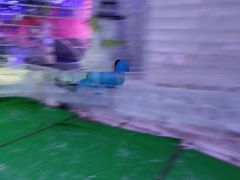 -宁波冰雪大世界(北仑区)