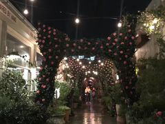 -The Grounds of Alexandria