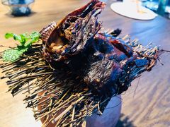 -凤凰湘语·湘粤和鸣(浦东旗舰店)