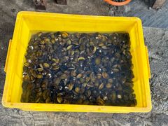 -红旗山庄(圭峰山店)