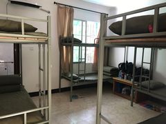 -铁山坪森林公园