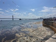 -星海广场
