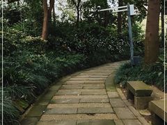 -成都市活水公园