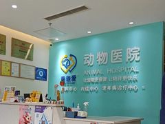 -美迦爱-牙专科·兔科·骨科诊疗中心(北苑店)