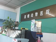 -渲嗳动物医院(异宠·复杂内科转诊中心·玖洲道富华里分院)