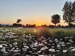 -汉长安城未央宫国家考古遗址公园