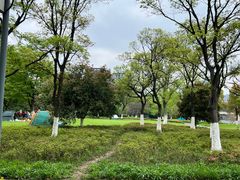 -映月湖中央公园