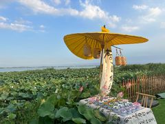 -七的湖·晚芳亭·阳澄湖农家菜·大闸蟹(莲花岛店)