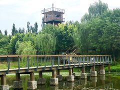 -东郊湿地公园