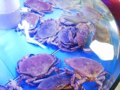 -高老庄新家宴(北斗星广场店)