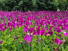 -长春公园(普阳街道)