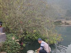 -靖西鹅泉风景区