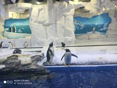 -华夏文旅海洋公园