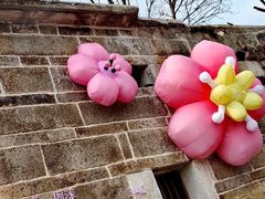 -龟山风景区-龟山电视塔