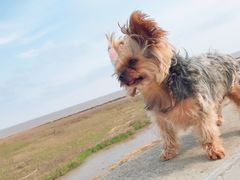 -南汇嘴观海公园