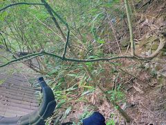 -藏龙百瀑风景区