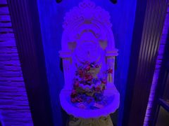 -雪灵魔法世界SHELLY’S TAROT(大良桂畔里店)