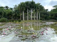 -中国科学院西双版纳热带植物园