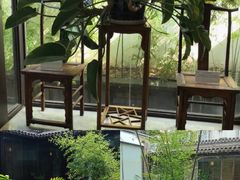 -竹雨堂创意中国菜(裕华店)